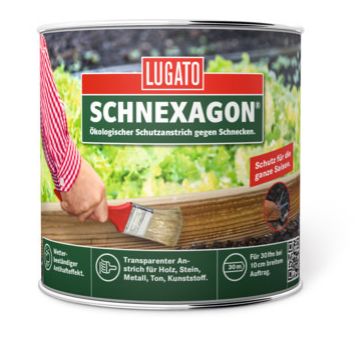 Schnexagon Bild: Lugato